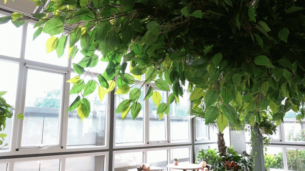 國內首家！海淀清河北岸，新添一處“網紅打卡地”