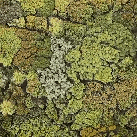 橫看成嶺側成峰，20張照片-換個角度看世界