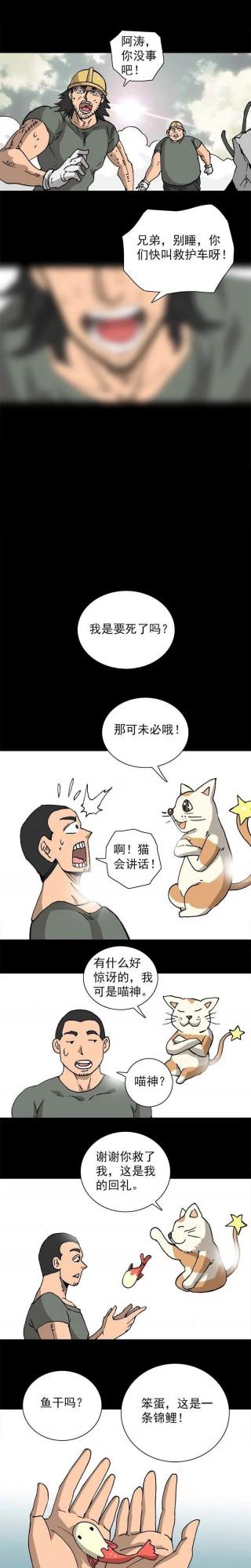 漫畫：必應錦鯉