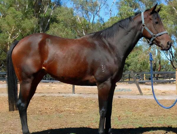 撒謊溜鬚拍馬哄騙皇帝的高手，看看與和珅相比哪個更厲害