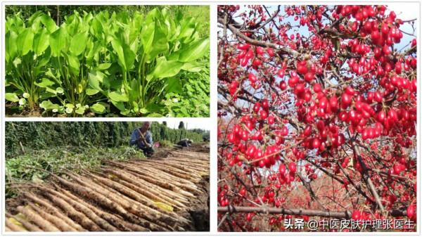 再分享一個黃褐斑經驗方：滋陰、解鬱、清熱，已經過驗證有效