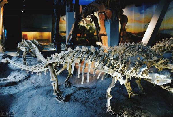 遊～山西地質博物館