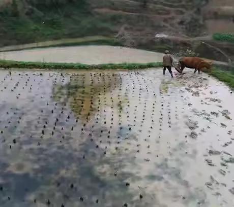 50張照片記錄著最真實的農村生活,這才是我們最深刻的回憶 50張照片記錄著最真實的農村生活,這才是我們最深刻的回憶