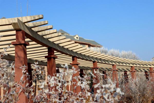 二師二十二團河畔鎮：霧凇美景入畫來