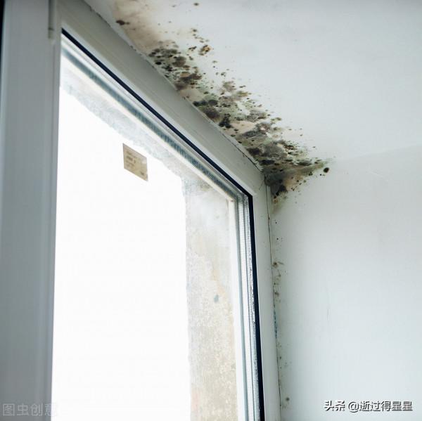 衛生間，防水材料的選擇，施工注意事項，速度收藏