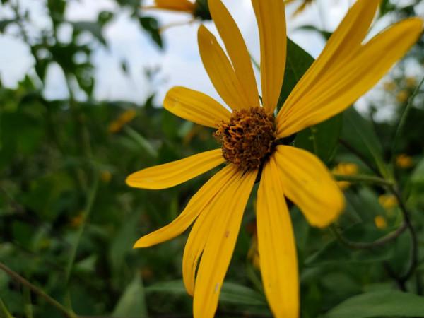 如果你是一個性格內向、優柔寡斷的人,建議你做好以下五件事 如果你是一個性格內向、優柔寡斷的人,建議你做好以下五件事