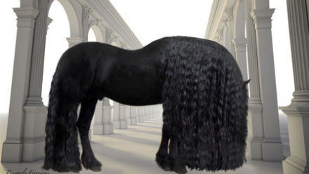 盤點八種昂貴的&OpenCurlyDoubleQuote;黑色神獸&rdquo;，黑雞也能價值一套房？黑虎僅剩6只