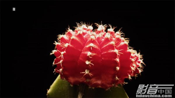 「測評」DOMINO by SIM2 DTV S鐳射電視：實現色彩與亮度的躍升，並強化遊戲效能