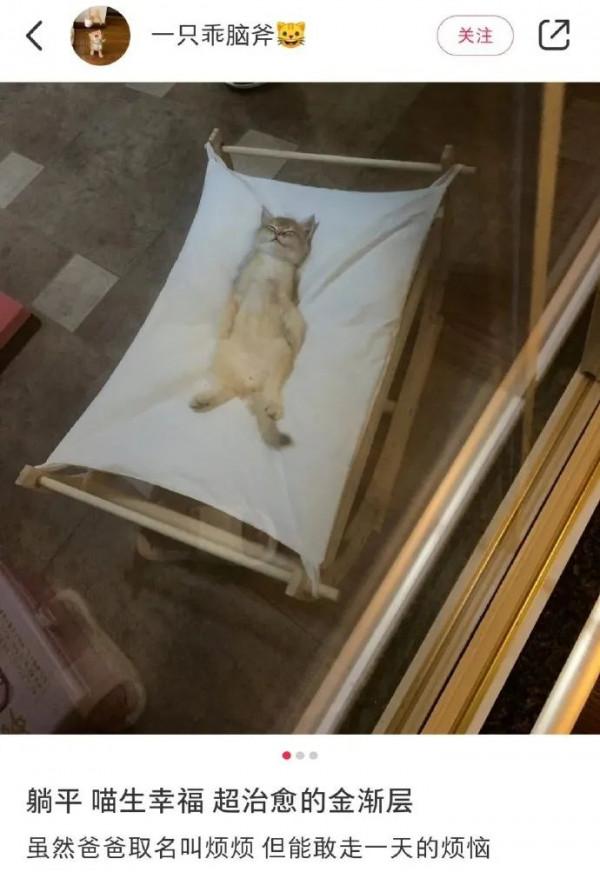 貓抓了只老鼠,結果往浴室一放,就倒頭睡覺,把主人看懵了 貓抓了只老鼠,結果往浴室一放,就倒頭睡覺,把主人看懵了