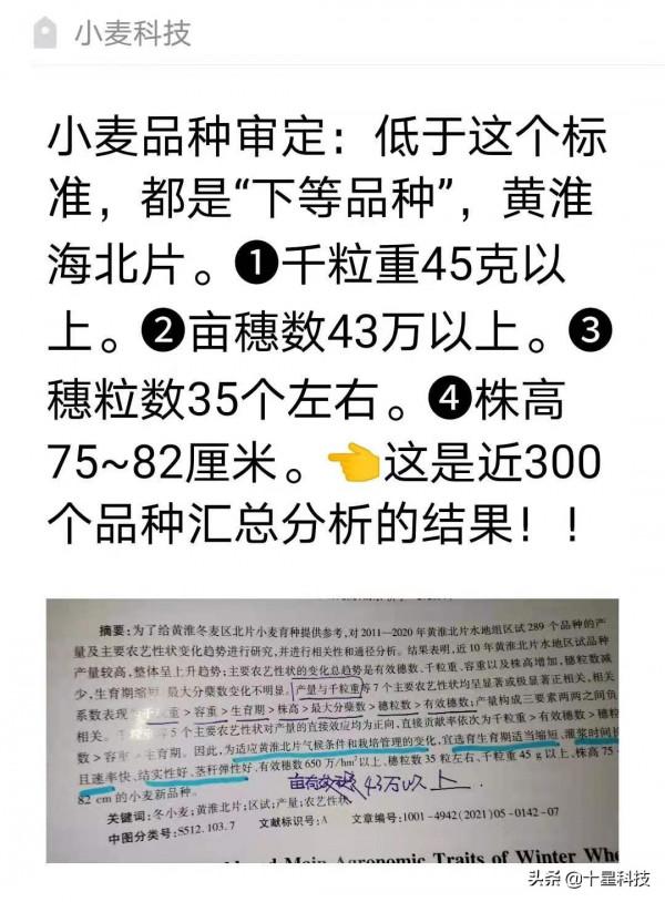 購買小麥種子：拆穿騙子們的陰謀詭計，只需要記住四點