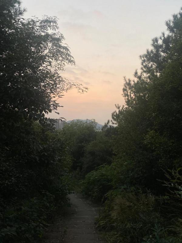 一個人爬山 一個人爬山