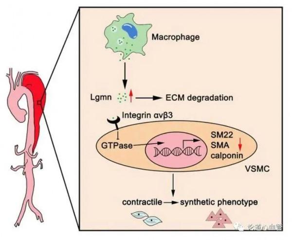 科研速遞 | 復旦上醫2022年1月科研成果一覽
