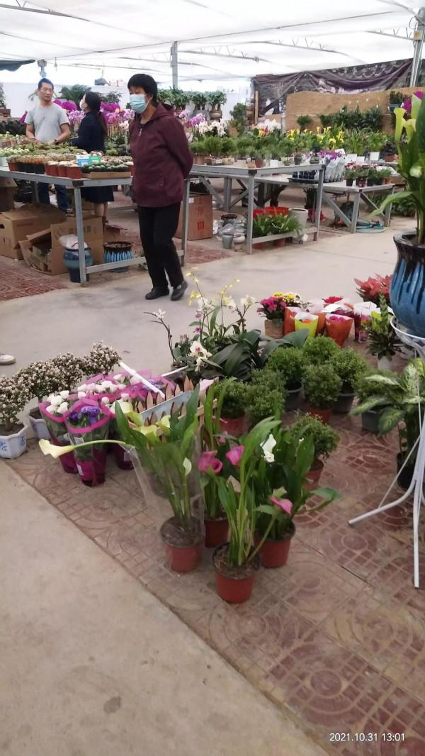 喜歡花的人就愛逛花市 喜歡花的人就愛逛花市