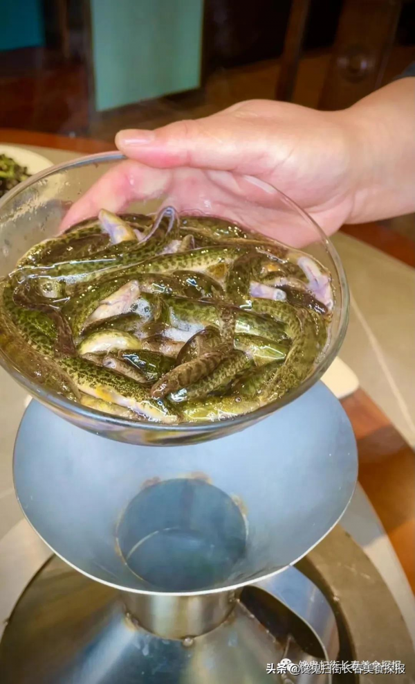 來自汪清百草溝。花泥鰍、川丁子,長白山小魚湯,已16年 來自汪清百草溝。花泥鰍、川丁子,長白山小魚湯,已16年