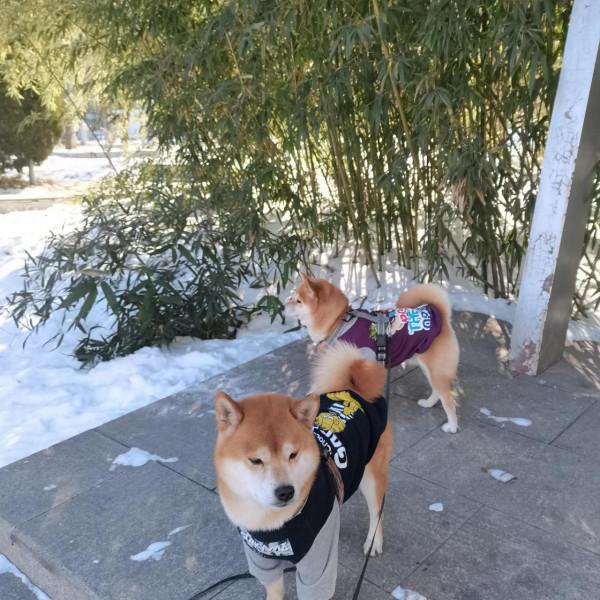 玩雪玩兒的凍腳腳了