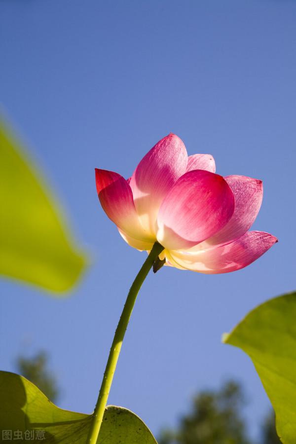 開啟心鎖，解開“心結”，用心溝通，凡事皆可解決