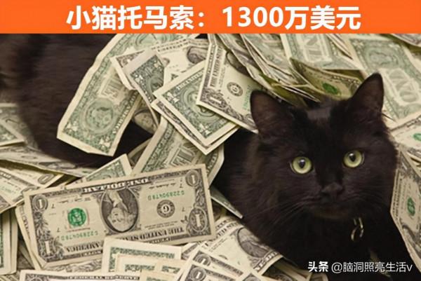 土豪動物！讓人們難以想象的是，世界上8個超級富有的動物