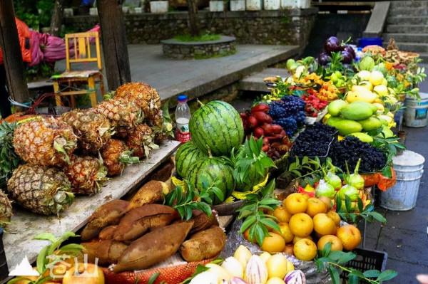 中國最適合養老過冬的3個省,很受北方人青睞,你最喜歡哪一個? 中國最適合養老過冬的3個省,很受北方人青睞,你最喜歡哪一個?