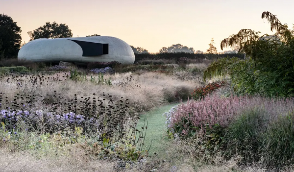 又野又美的“荒野風”花藝,太上頭了 又野又美的“荒野風”花藝,太上頭了