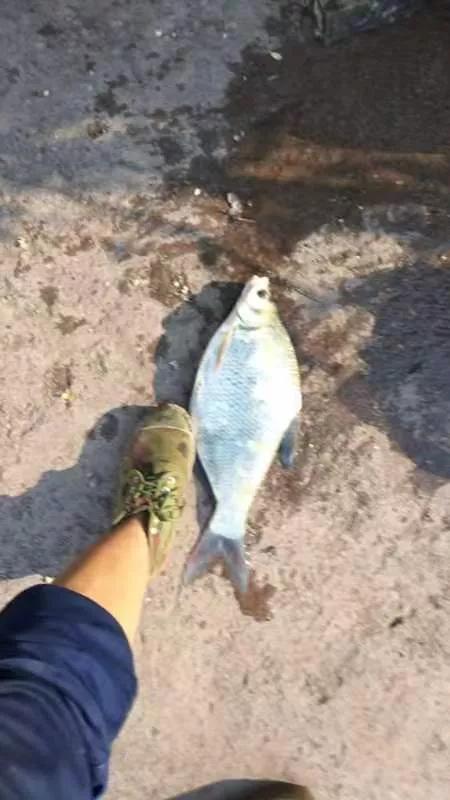 廢舊漁具再利用 廢舊漁具再利用