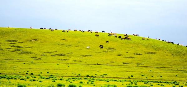推薦8個涼爽的景點，暑假帶著孩子一起去旅行吧……
