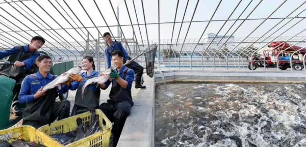朝鮮大力開展養魚 豐富軍民飯碗