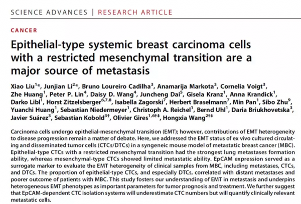 Science Advances│王紅霞團隊研究揭示乳腺癌迴圈腫瘤細胞異質性