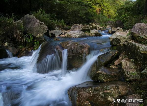 甘肅本地人公認的4大好酒，款款驚豔品質佳，可惜知道的人卻不多