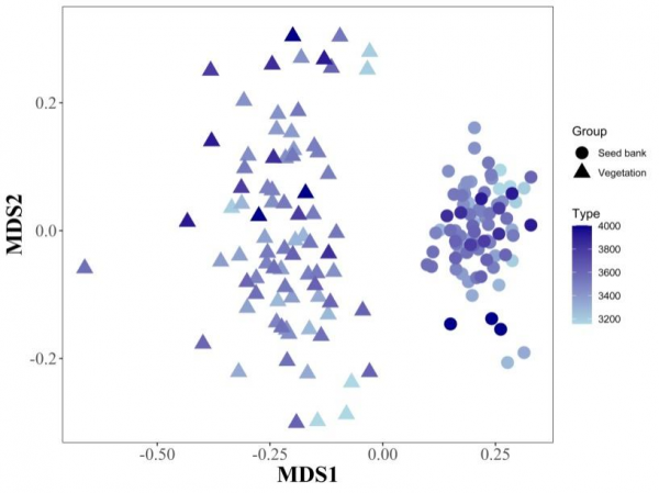 生命科學學院系列研究揭示了土壤種子庫在多穩態理論中的作用及氣候變化的影響