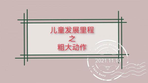 兒童發展里程 兒童發展里程