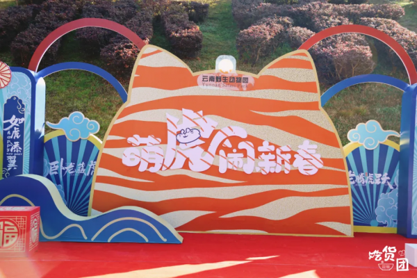 春節嗨玩預警！雲南野生動物園&OpenCurlyDoubleQuote;萌虎&rdquo;陪你賀新年，2022虎虎生威