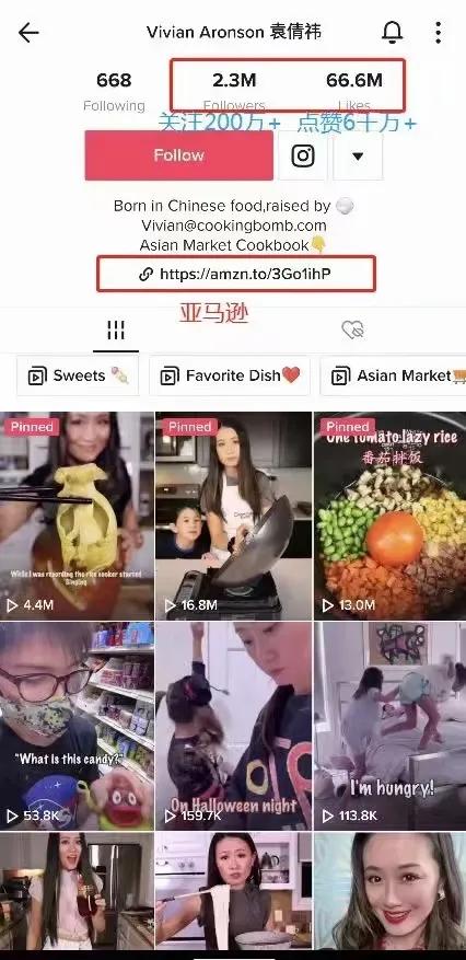 中國美食火爆外網，TikTok上有眾多“李子柒”？