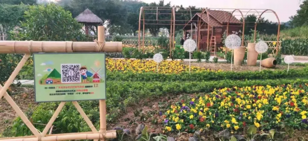 倒計時!今年廣東種業大會最全參會攻略請查收!6000多個優新特色品種等您來~ 倒計時!今年廣東種業大會最全參會攻略請查收!6000多個優新特色品種等您來~