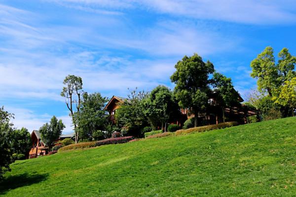 彌勒太平湖森林木屋酒店是最好的休閒、度假、養生天堂 彌勒太平湖森林木屋酒店是最好的休閒、度假、養生天堂