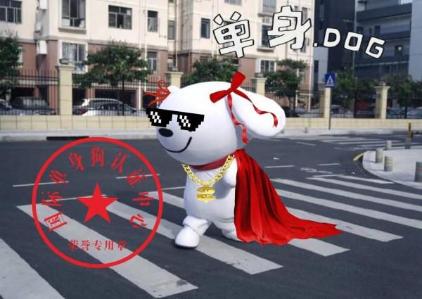 今天被一條狗狗治癒了不開心