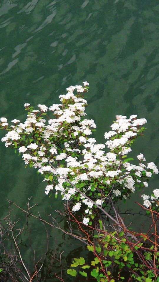 不出北京免費遊玩的7座古城,還可品嚐當地特色美食,您去過幾座 不出北京免費遊玩的7座古城,還可品嚐當地特色美食,您去過幾座