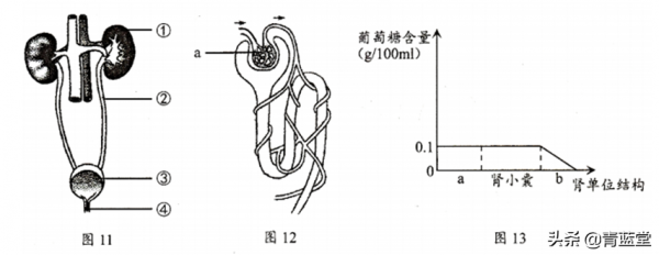 2021年吉林省中考生物真題