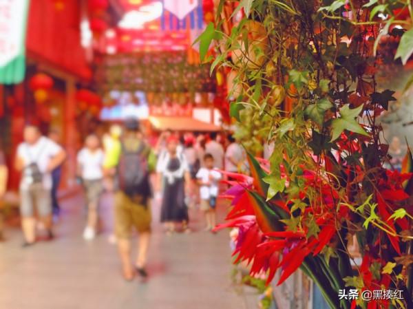 初遊新市古鎮，覺得這裡和烏鎮很像，後來才明白這“神似”的原因