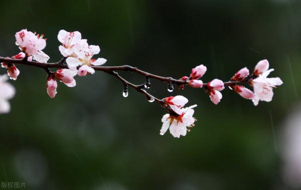退休女人要會存錢，也要學會賺錢