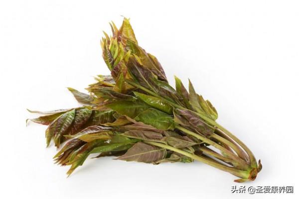 吃&OpenCurlyDoubleQuote;春季第一芽&rdquo;，養肝明目還清熱