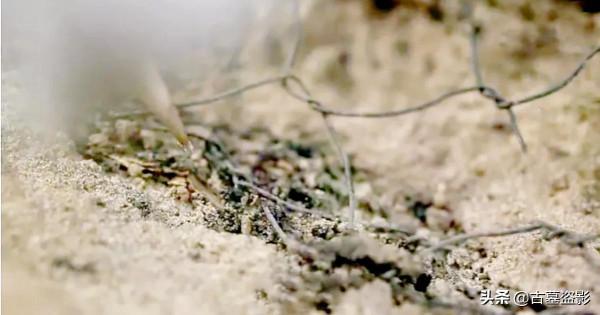 契丹貴族墓發掘記:原始森林裡發現契丹人古墓,發掘結果令人咂舌 契丹貴族墓發掘記:原始森林裡發現契丹人古墓,發掘結果令人咂舌