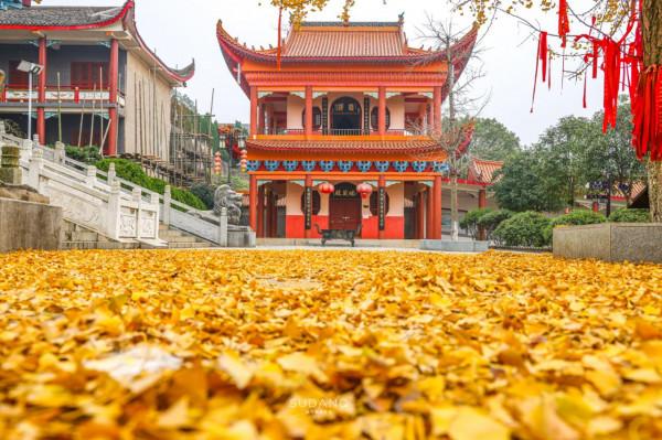 湖南有座古剎，相傳被“五條龍”守護，是湘潭境內四大古剎之一