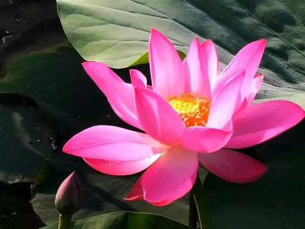 《老人言》總結出的精典