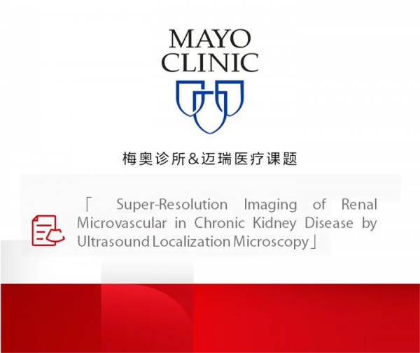 @全球頂級聲學會議IEEE IUS,我們來了 @全球頂級聲學會議IEEE IUS,我們來了