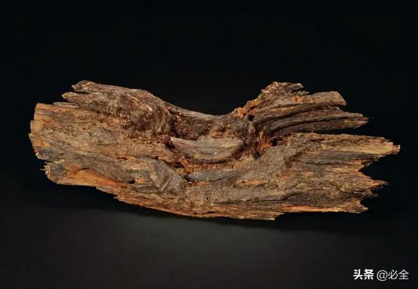 我國十大珍貴樹種,名貴樹木 我國十大珍貴樹種,名貴樹木