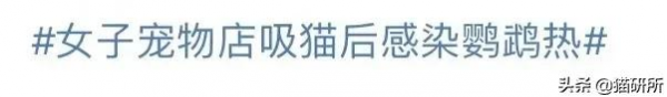 恙蟲病、鸚鵡熱、蠕形蟎、頭癬…吸貓風險這麼高？