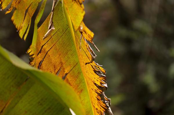 陰天過路石門森林公園