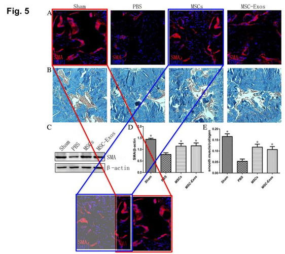 中山大學附屬第三醫院發表的SCI論文被質疑