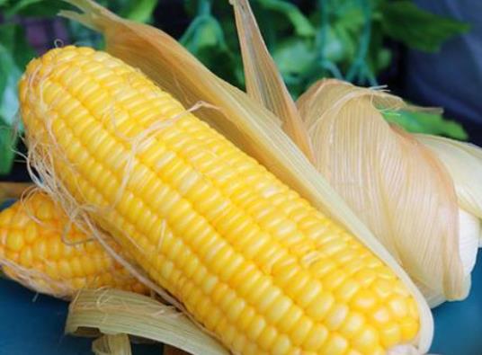 煮玉米時,別用清水直接煮了!多加這2味,玉米又香又糯超好吃 煮玉米時,別用清水直接煮了!多加這2味,玉米又香又糯超好吃