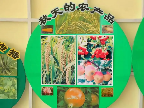 中國幼教公益論壇丨幼兒園秋季主題環創 中國幼教公益論壇丨幼兒園秋季主題環創